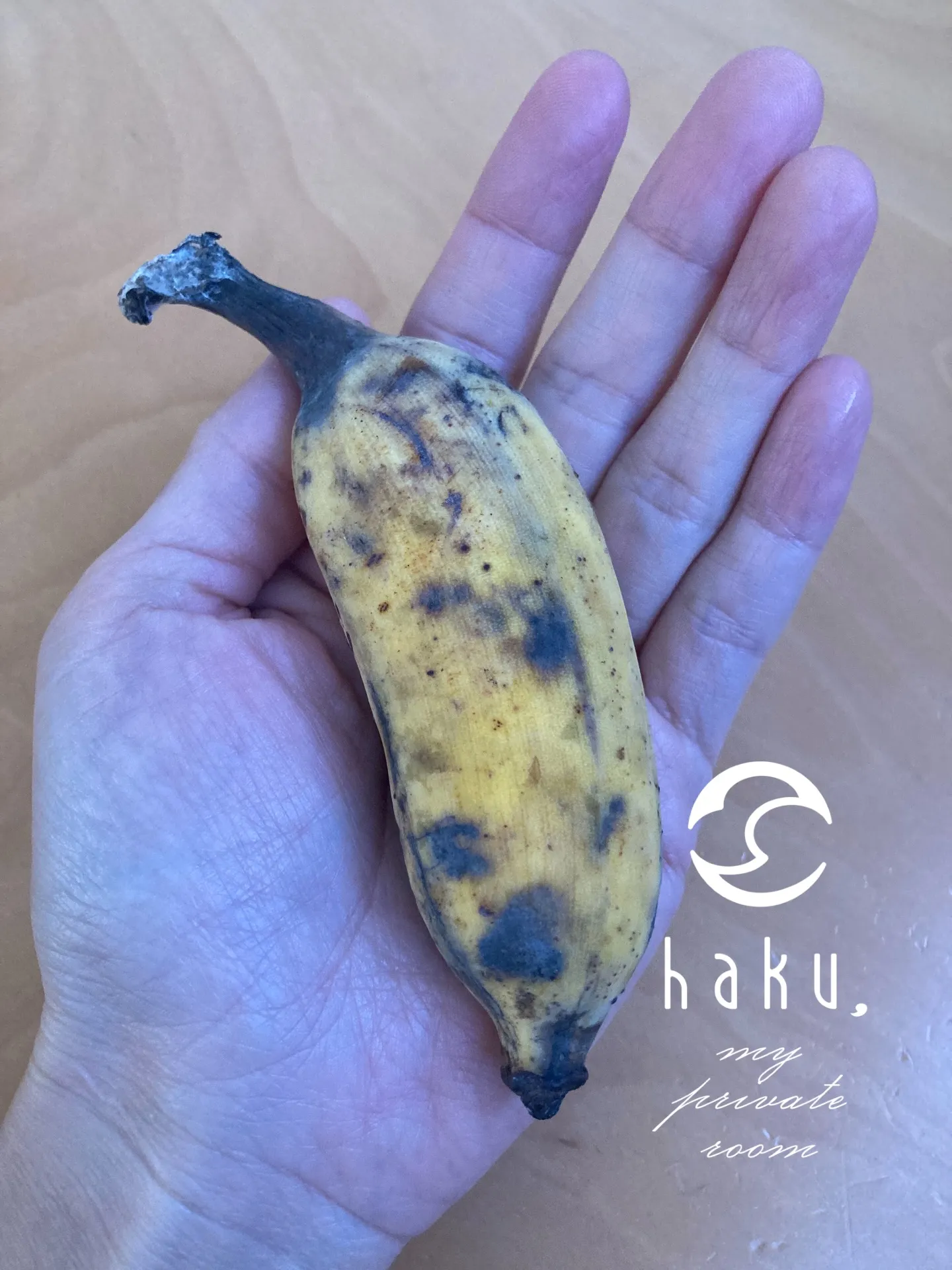 義母さんや近所のおじいちゃんから